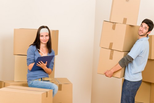 Professional movers assisting in Surrey Quays